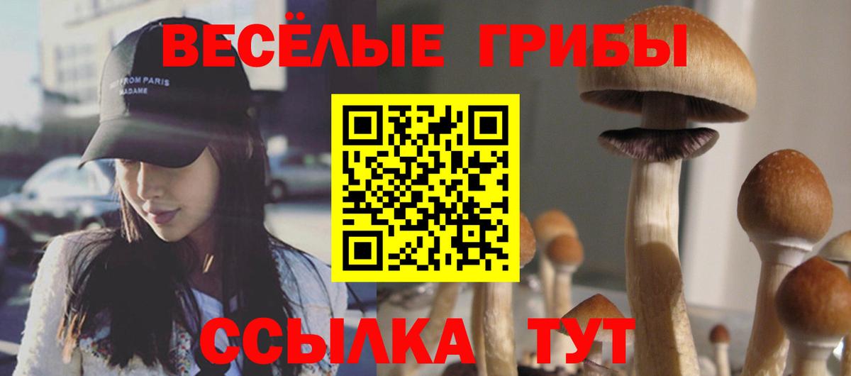 Псилоцибиновые грибы Cubensis Усть-Илимск